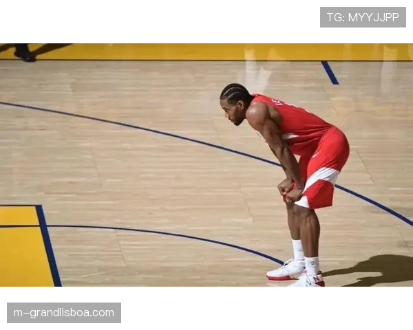 特雷斯杰克逊戴维斯猛龙首秀10分10篮板 前场篮板嗅觉敏锐